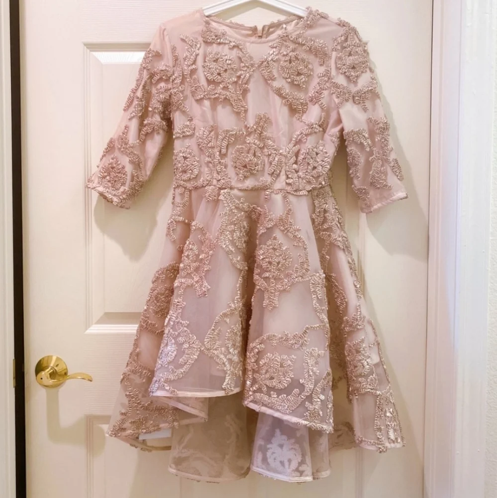 Mesh Dress - Picture 1 of 6